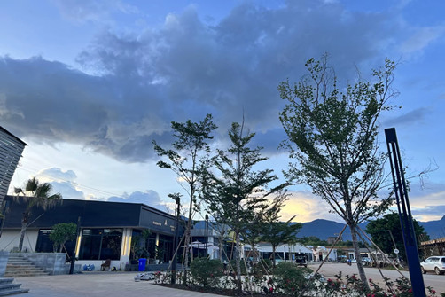 腾龙国际集团展示